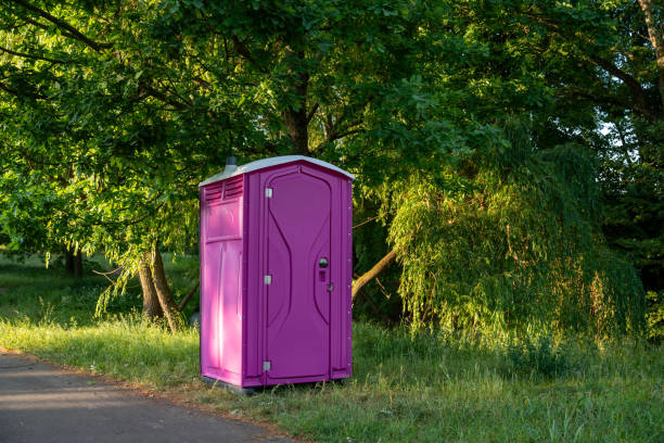 Best Luxury portable toilet rental  in Green Oaks, IL